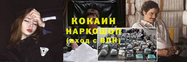 соль ск Белокуриха