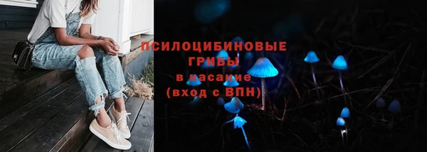 соль ск Белокуриха
