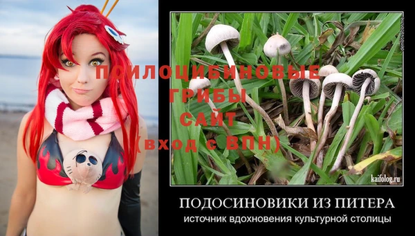 соль ск Белокуриха