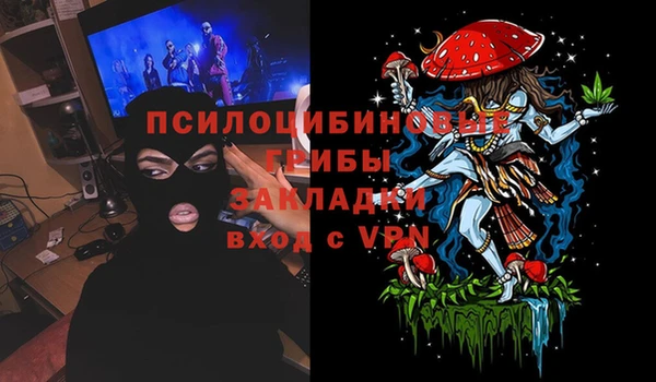 соль ск Белокуриха