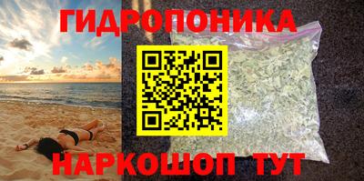меф Гатчина