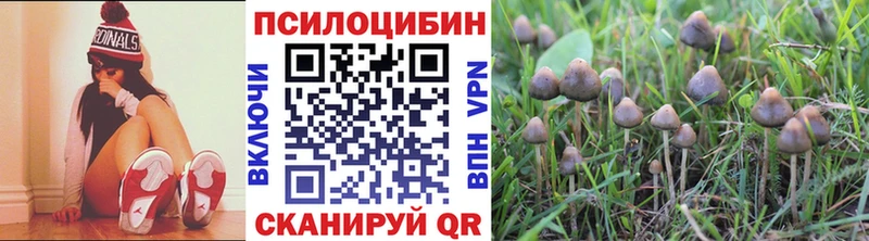 Псилоцибиновые грибы GOLDEN TEACHER  Калуга 