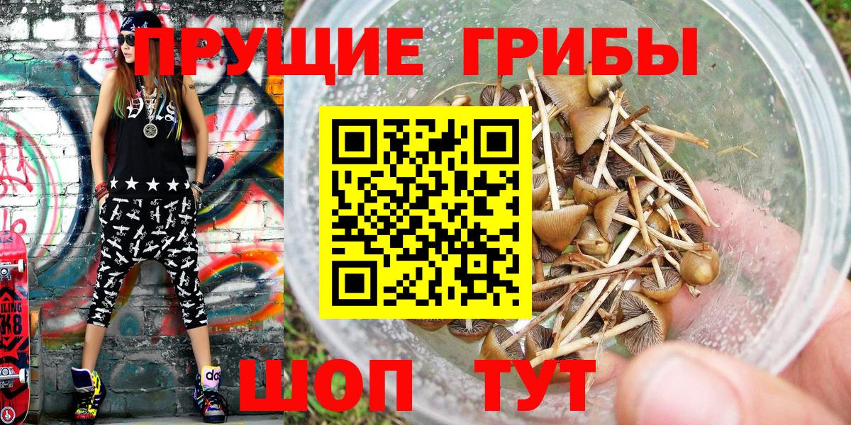 Калуга  Псилоцибиновые грибы Cubensis  Псилоцибиновые грибы Psilocybe  Вход с VPN 