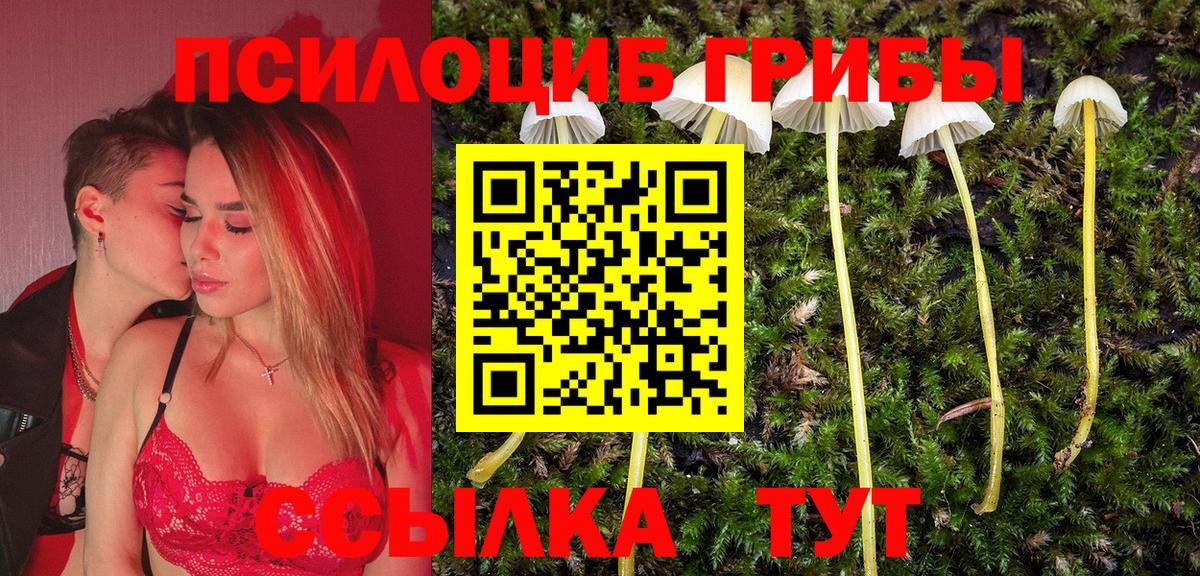 Псилоцибиновые грибы Cubensis Калуга